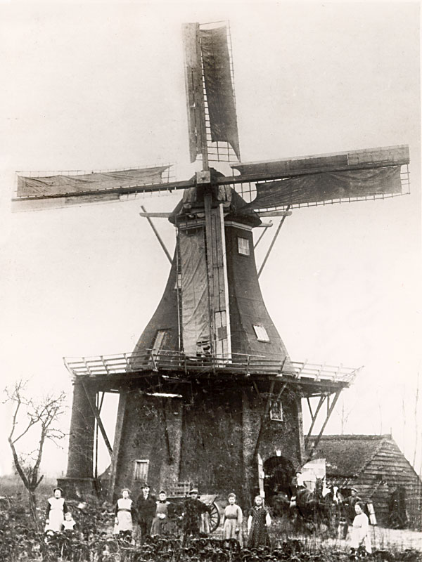 Molen De Holm 2 Tolbert 800