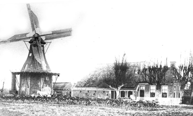 molen windlust de holm 2 800